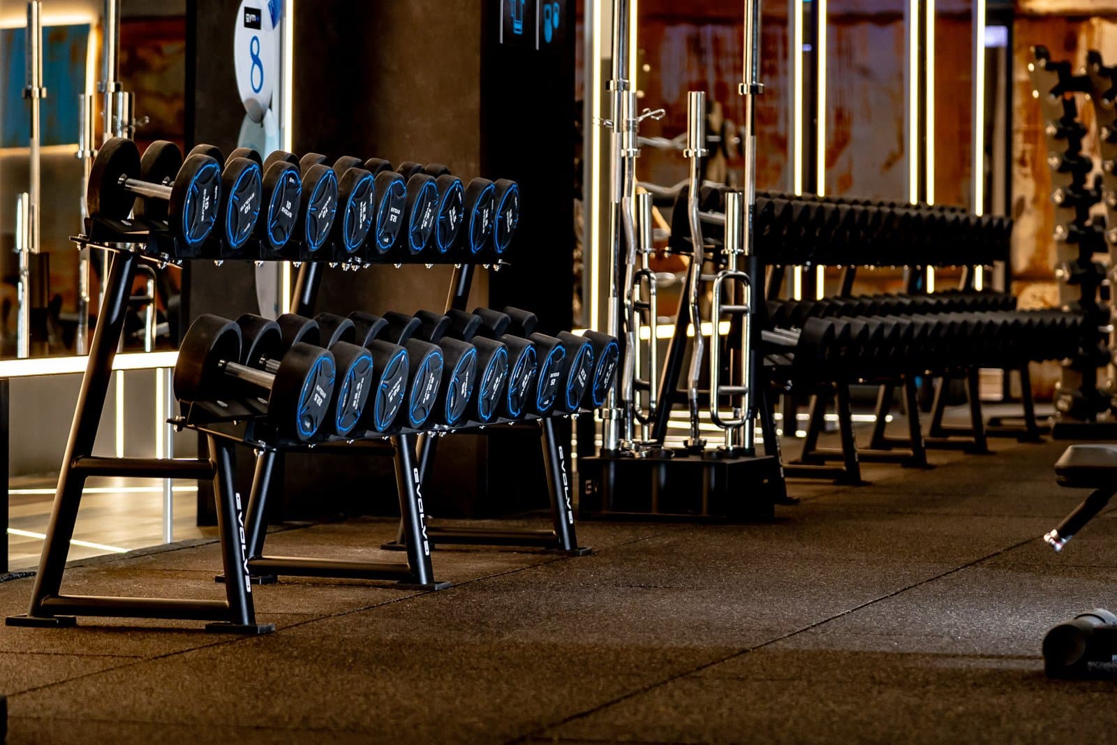 Evolve TPU Urethane Dumbbell