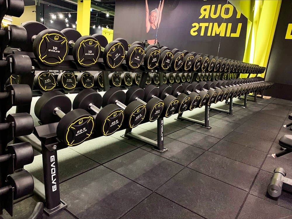 TPU dumbbells (18)