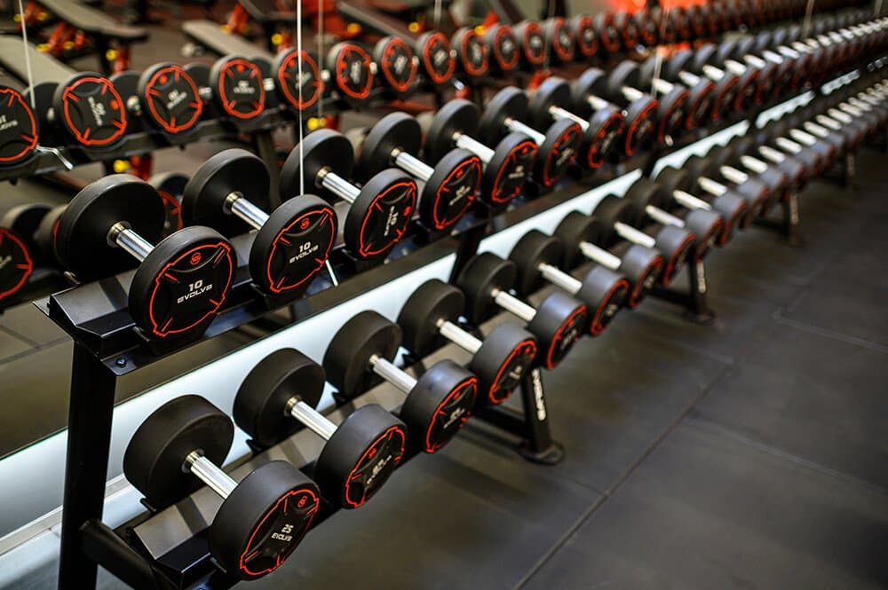 TPU dumbbells (23)