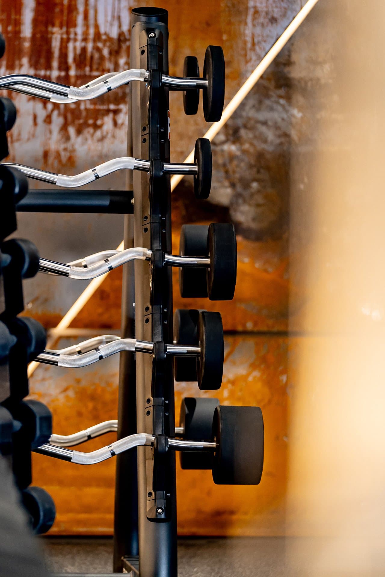 Evolve Fixed Barbells Rack