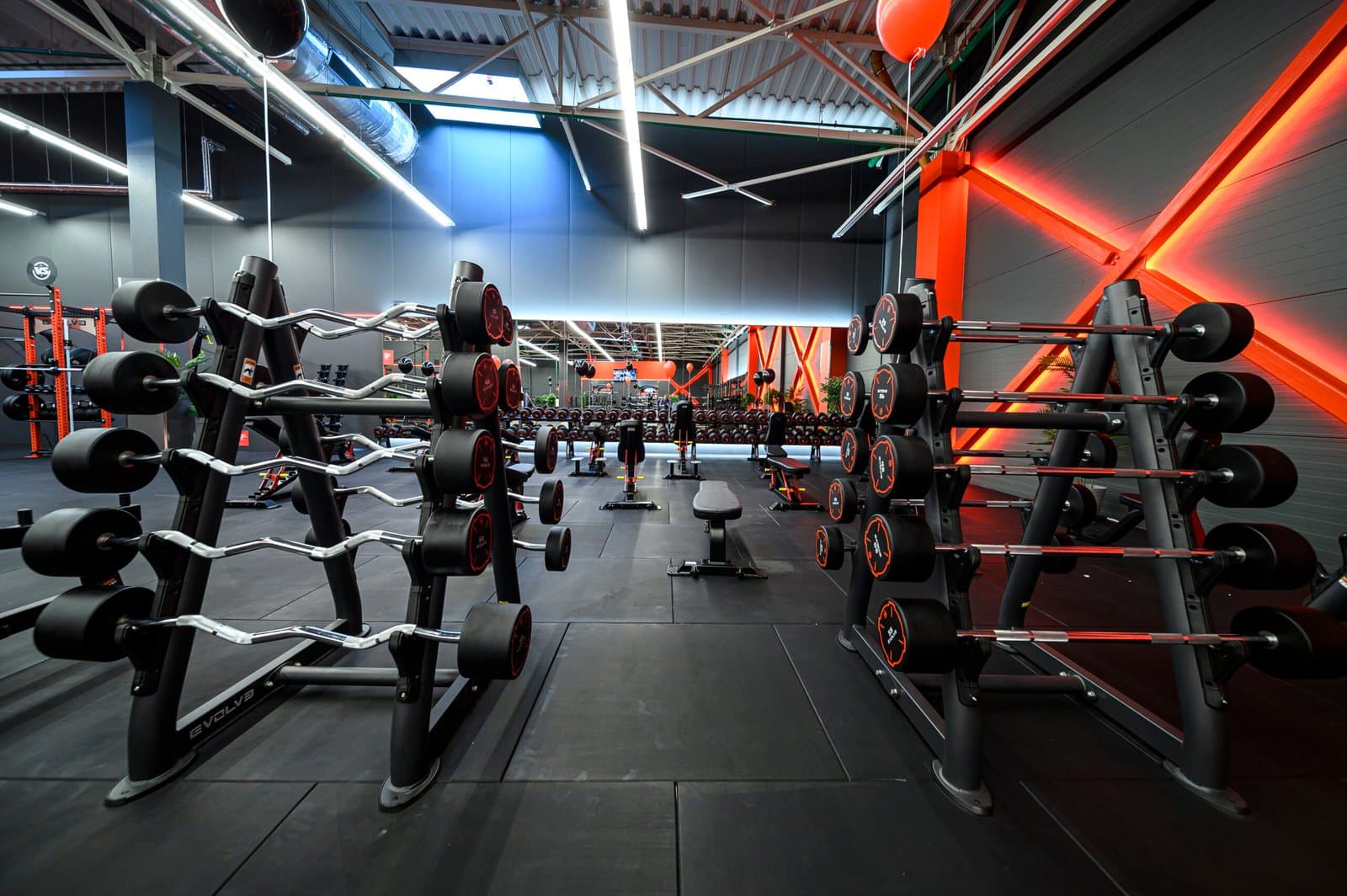 Fixed barbells (2)